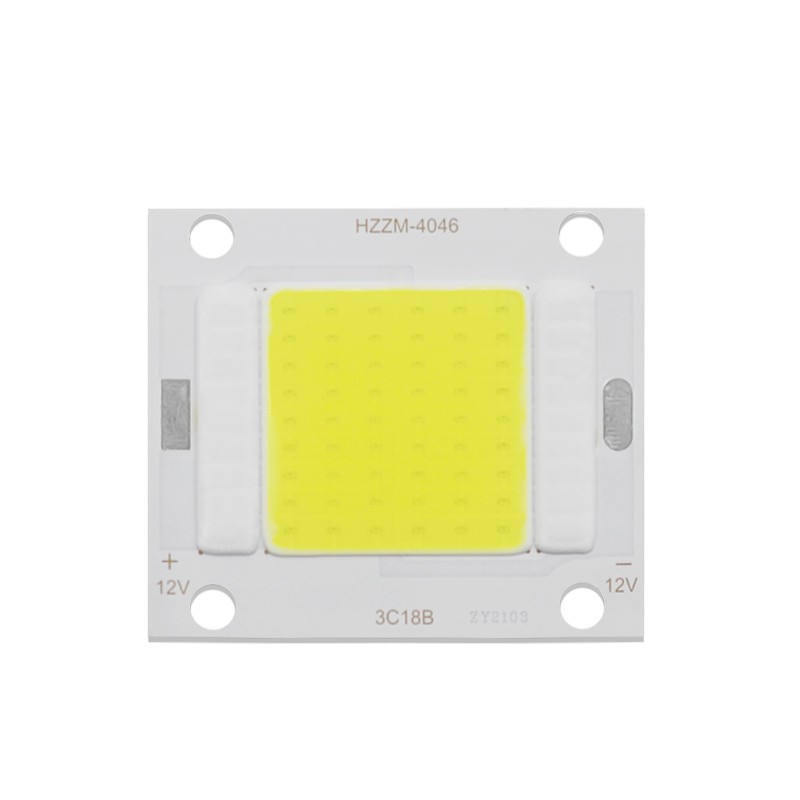 12 Volt 20 Watt LED Chip
